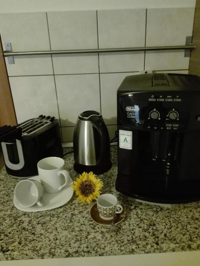 Girasole Grazioli 47 Bed and Breakfast Trento Eksteriør billede